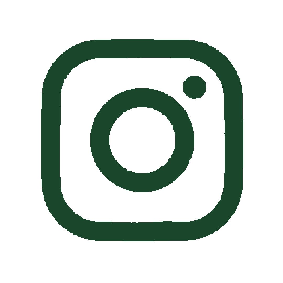 ig icon svg