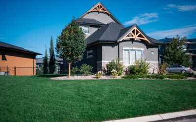 Top Summer Landscaping Trends for 2025 in Okotoks: Create the Yard Everyone’s Talking About