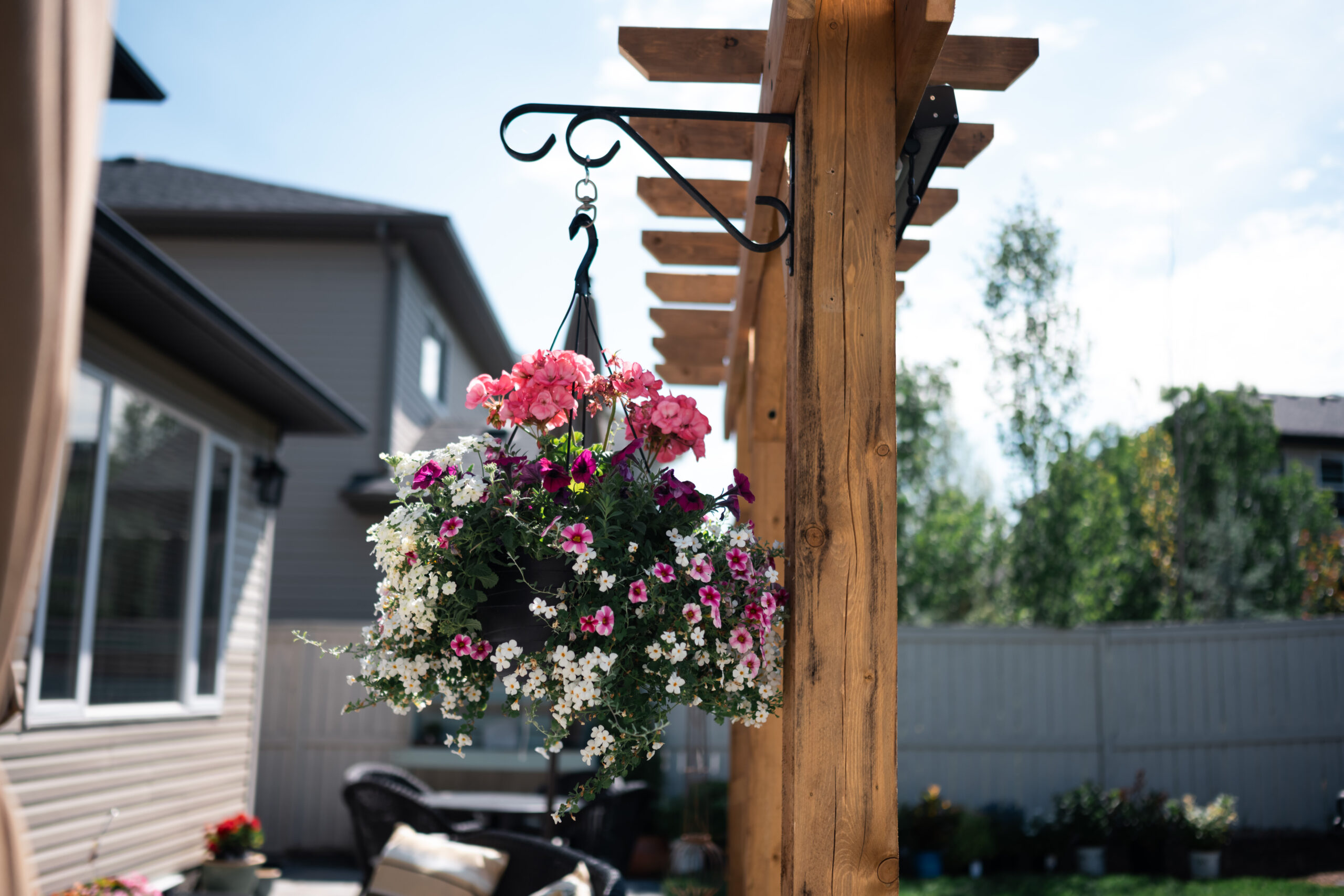 Custom pergola in an Okotoks backyard