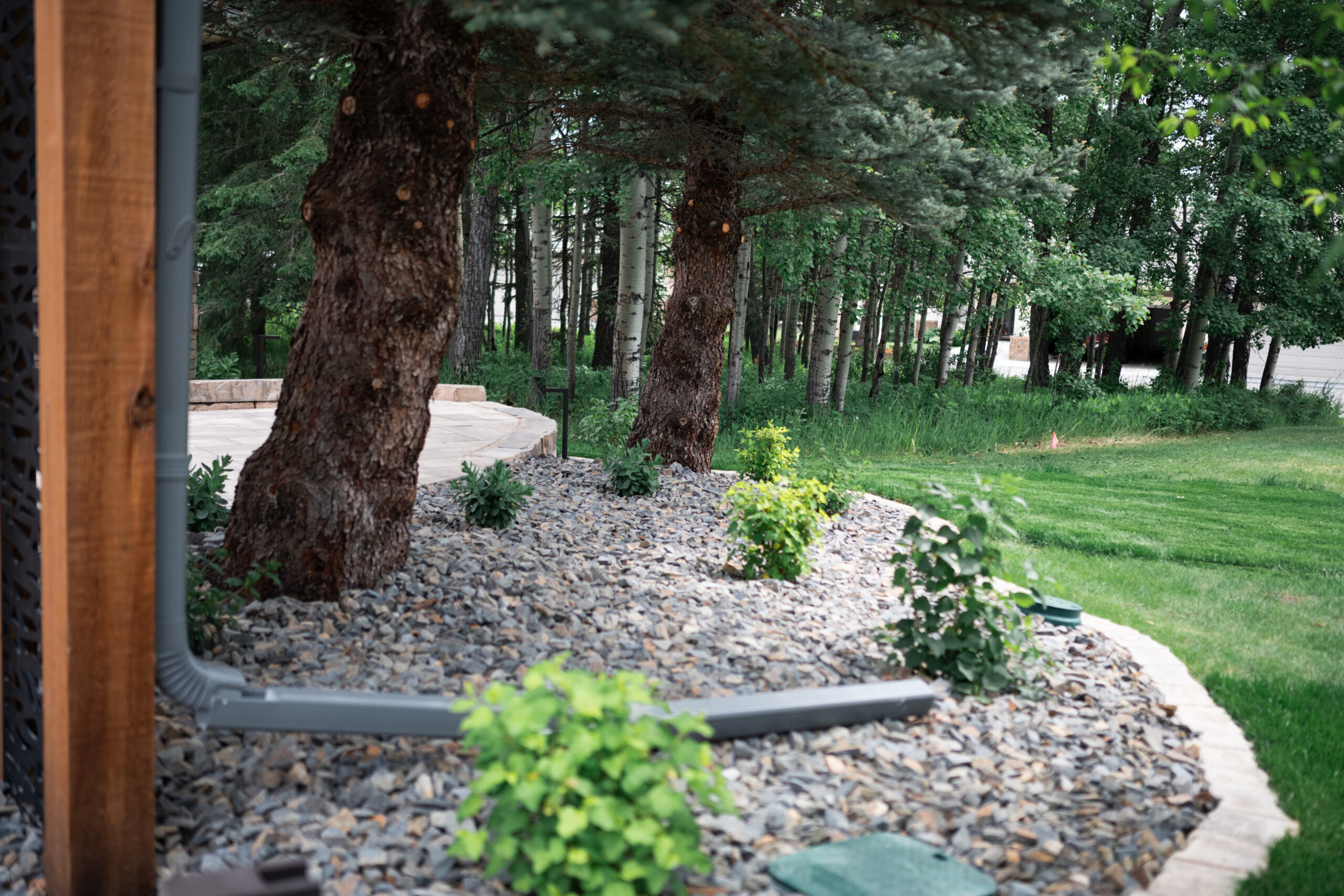Landscaped garden area featuring decorative stone, shrubs, and trees in Priddis Greens, showcasing Kayben Landscaping's residential design expertise.