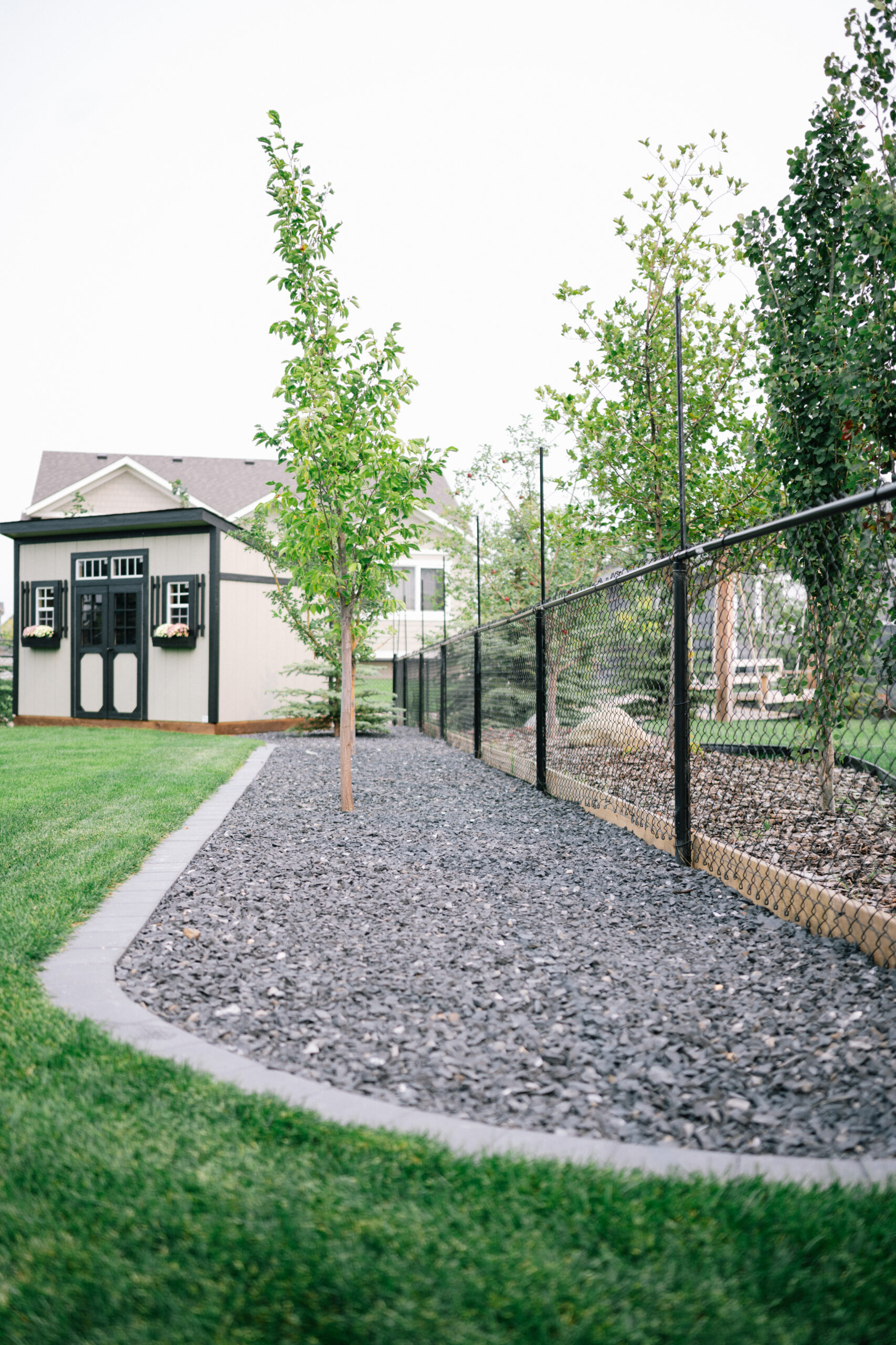 Fresh sod with stone edging and newly planted trees in an Okotoks Cimarron Estates yard