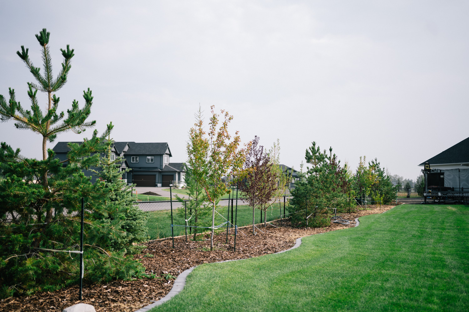 Acreage landscaping in Green Haven, Okotoks with trees planted for privacy