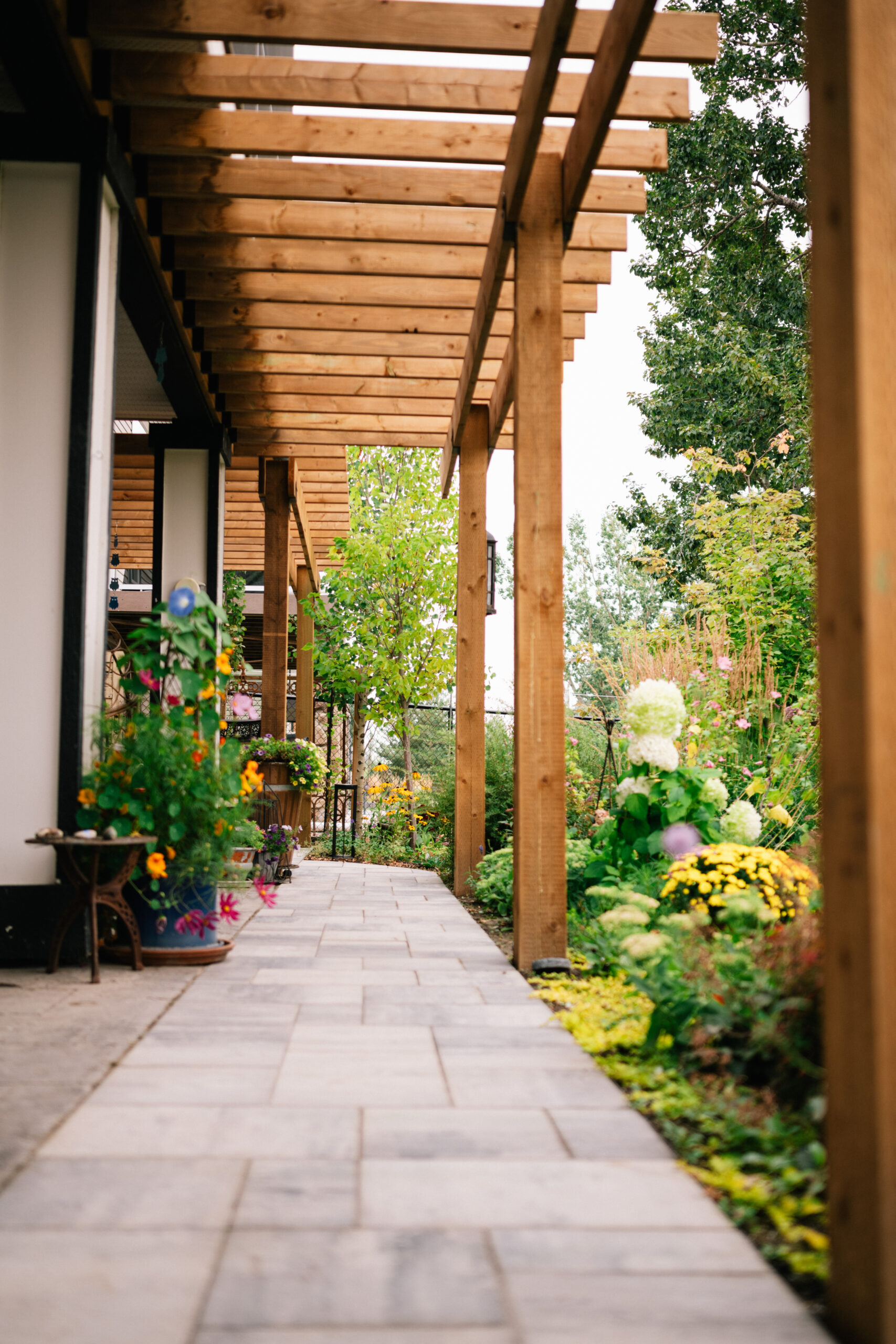Residential pathway with stone pavers, bordered by colorful flower pots, under a wooden pergola, showcasing lush greenery in a landscaped garden setting.