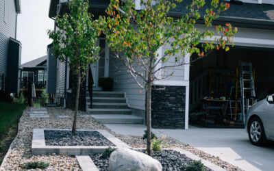 Residential landscaping featuring trees, gravel beds, and stone pathways, showcasing modern design elements in a front yard setting.