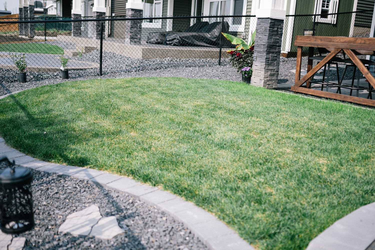 Lush green lawn with curved stone pathway, surrounded by decorative gravel and potted flowers, showcasing landscaping design in residential outdoor space at D'Arcy Ranch, Okotoks.